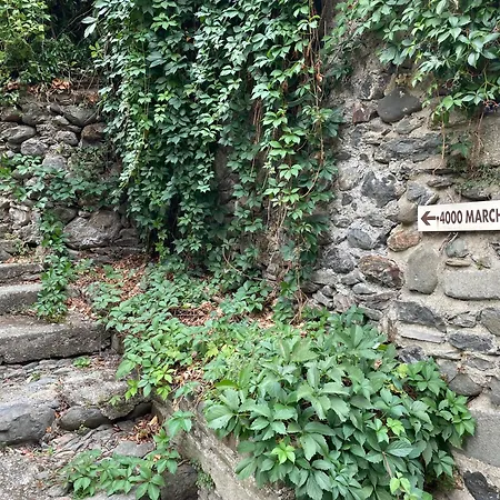 Apartment D'aigoual *